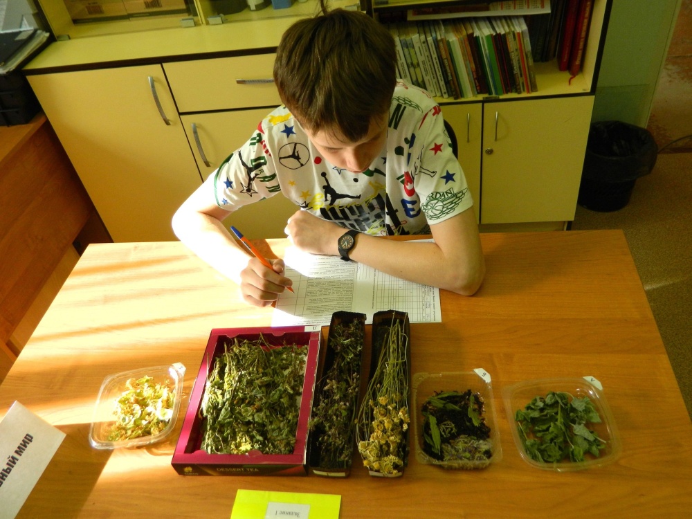 Названы лучшие юные краеведы города.